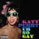 Ur So Gay
