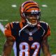 Marvin Jones (wide receiver)
