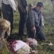 The Walking Dead (2010)