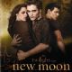 The Twilight Saga: New Moon