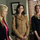 The Good Wife (2009)