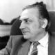 Vladimir Krpan