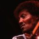 Albert Collins