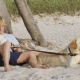 Marley & Me (2008)
