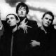 Pulp