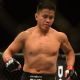 Cung Le