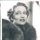 Ann Andrews