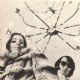 Phyllis Barbour