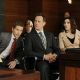 The Good Wife (2009)