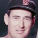 Ted Williams