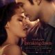 The Twilight Saga: Breaking Dawn - Part 1 Stills
