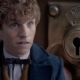 Fantastic Beasts and Where to Find Them (2016)