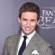 Fantastic Beasts and Where to Find Them (2016)