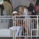 Anna Kendrick – Seen at Miami Beach Polo World Cup